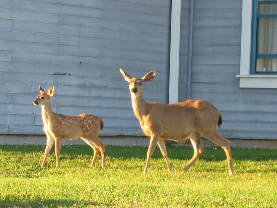 University of California at Santa Cruz-圣克鲁斯必去景点