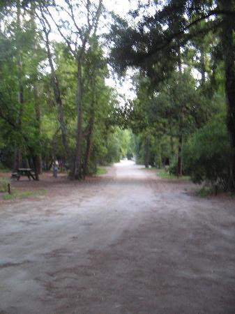 Myrtle Beach State Park-美特尔海滩必去景点