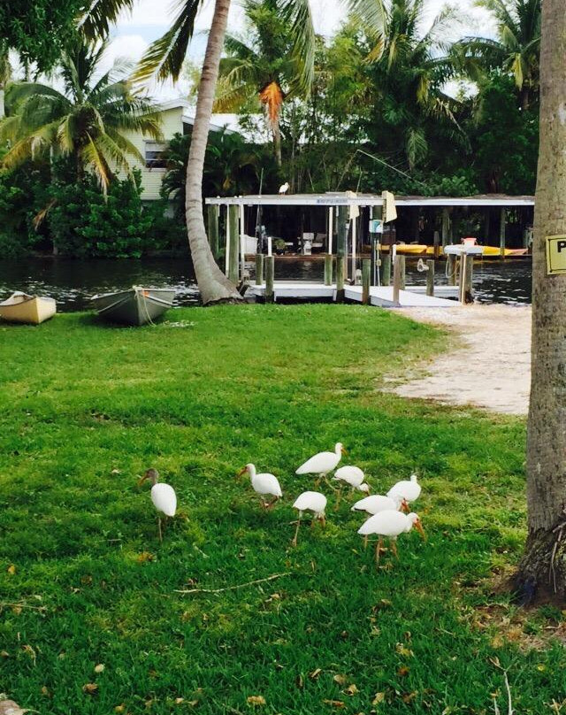 Pine Island Paradise Resort