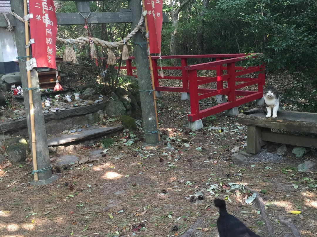 Cat Shrine景点图片