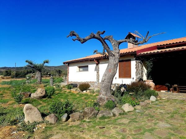 Narcao餐馆和美食-Agriturismo B&b Gennemara