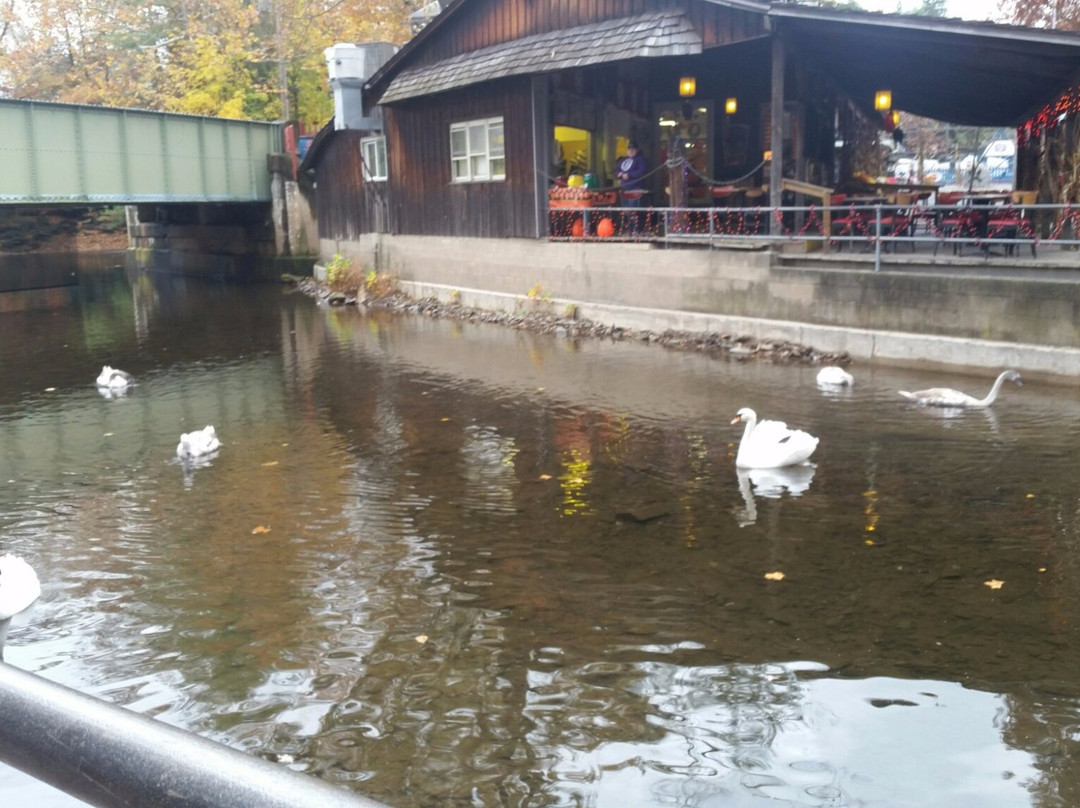 Elysburg餐馆和美食-The Wharf