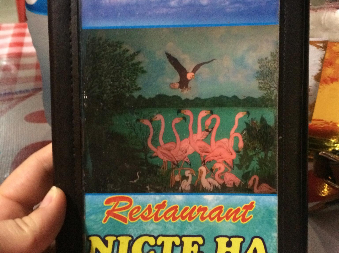 Restaurant Nicte-Ha