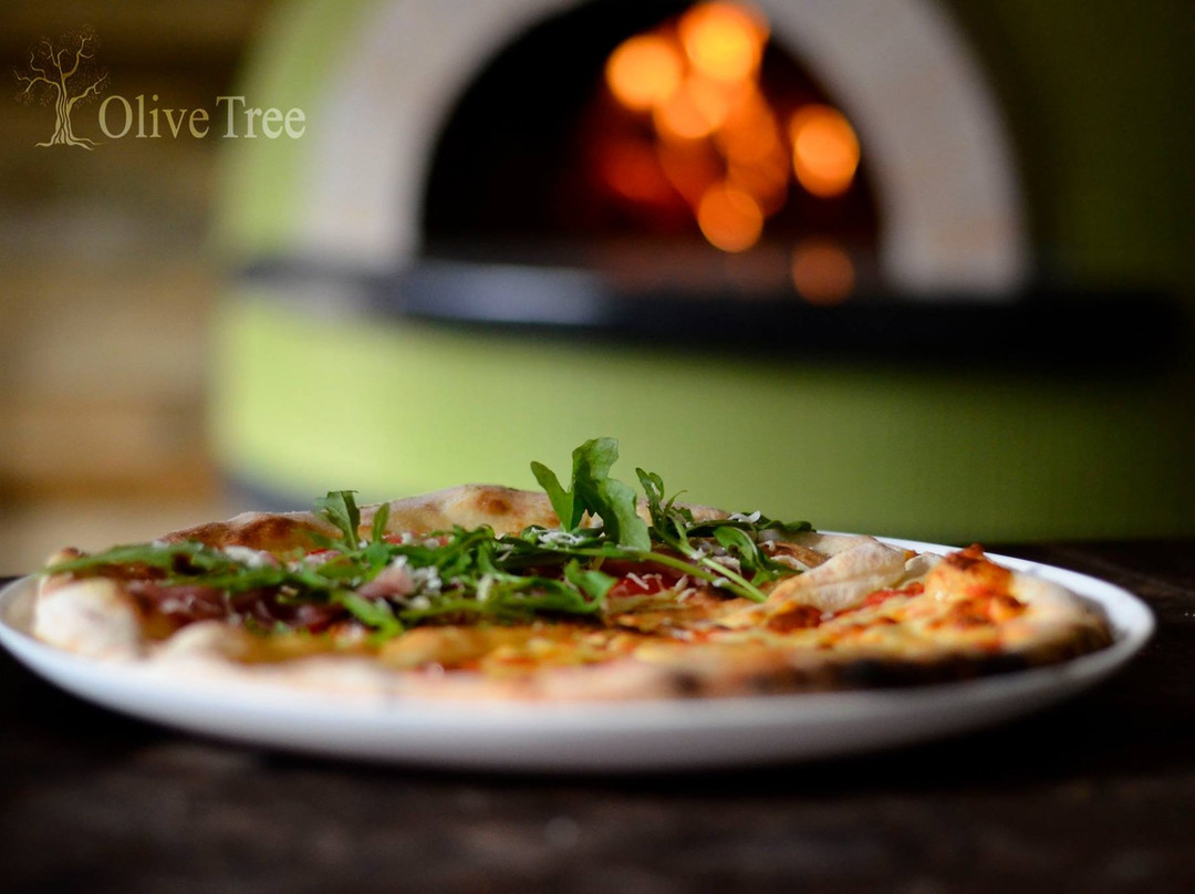 Olive Tree