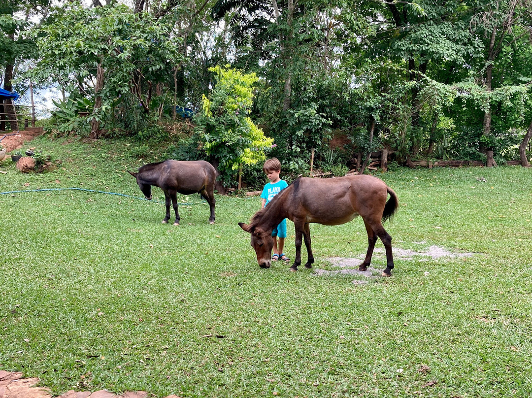 Fazenda Hotel Bem Ecologico主图
