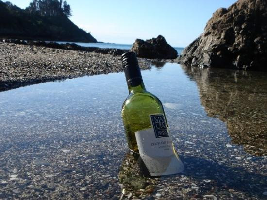 Onetangi Forest and Bird Reserve-怀系奇岛必去景点