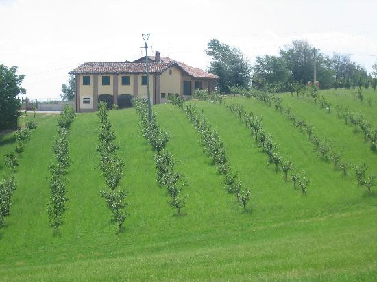 菲登扎酒店住宿-B&B Frutti Antichi
