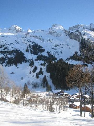 Hotel Floralp Chalet-客卧