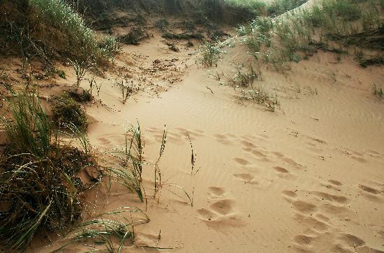 Brackley Beach-Brackley Beach必去景点