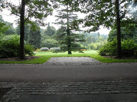 莫里斯植物园景点图片