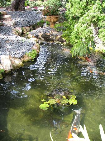 Swami's Beach-恩西尼塔斯必去景点