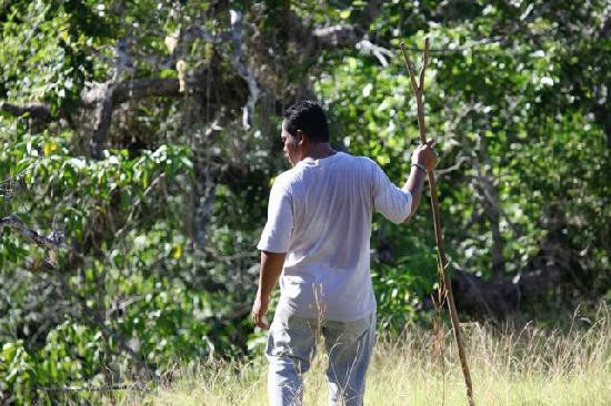 Komodo National Park-科莫多国家公园必去景点