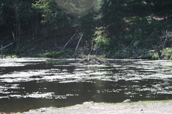 Parc Oméga-蒙泰贝洛必去景点