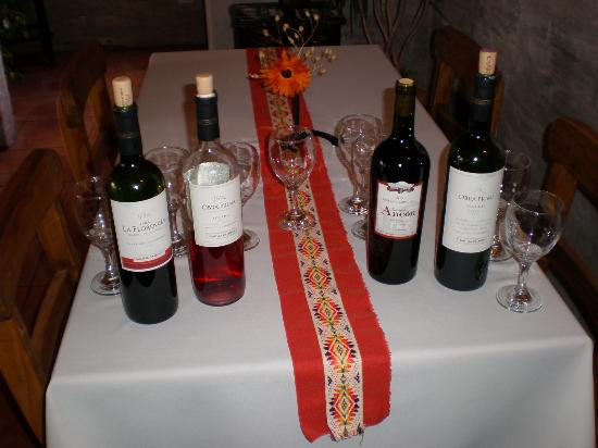 The Vines of Mendoza景点图片