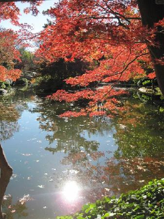 Fort Worth Botanic Garden-沃思堡必去景点