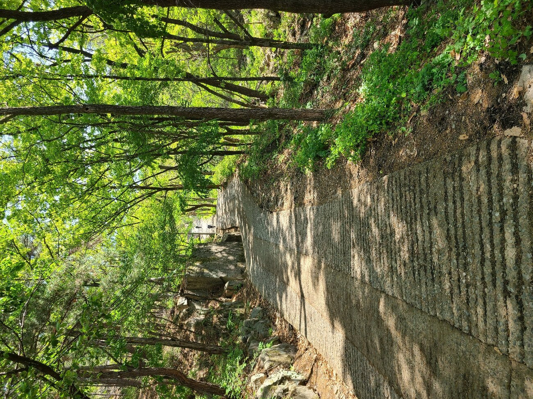 Apsan Park-大邱必去景点