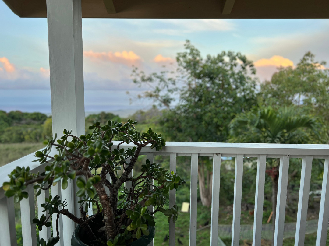 海勒华拉来住宿加早餐旅馆主图