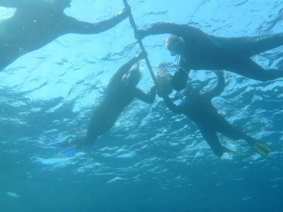 Aqua Planet-Shelly Beach必去景点