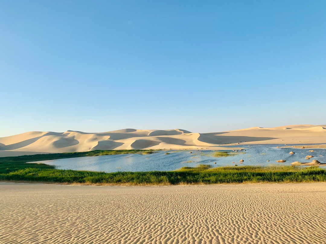 Great Sand Sea景点图片