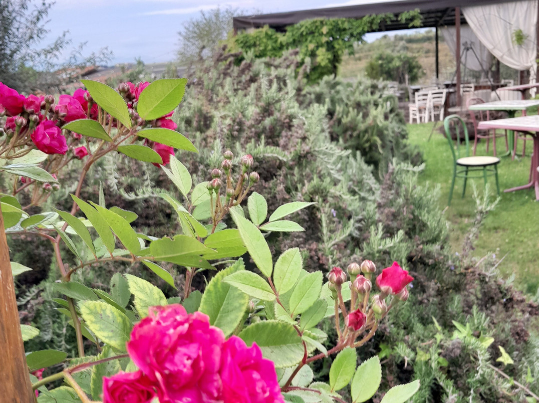 Country House Erba Regina主图