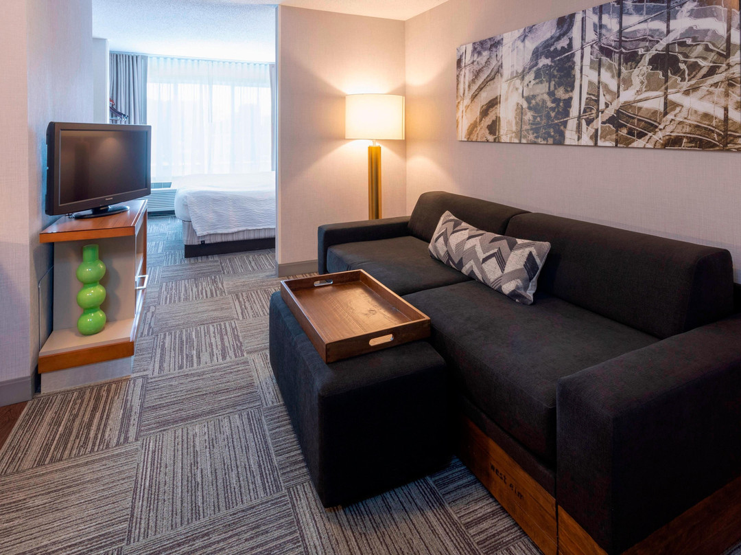 SpringHill Suites Rochester Mayo Clinic Area/Saint Marys