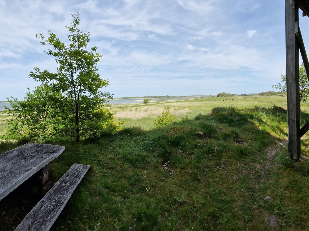 Hellerød kær vandrerute景点图片