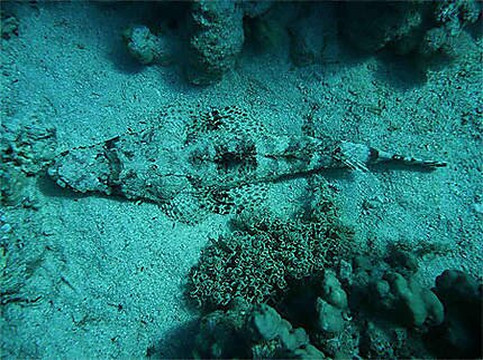 Sun Pyramids Multi-Day Tours-沙姆沙伊赫必去景点