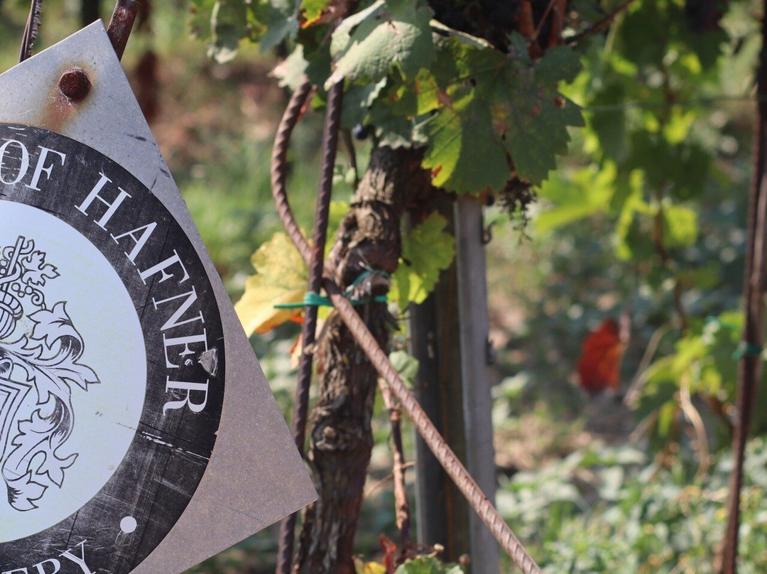 Weingut Hafner-Monchhof必去景点
