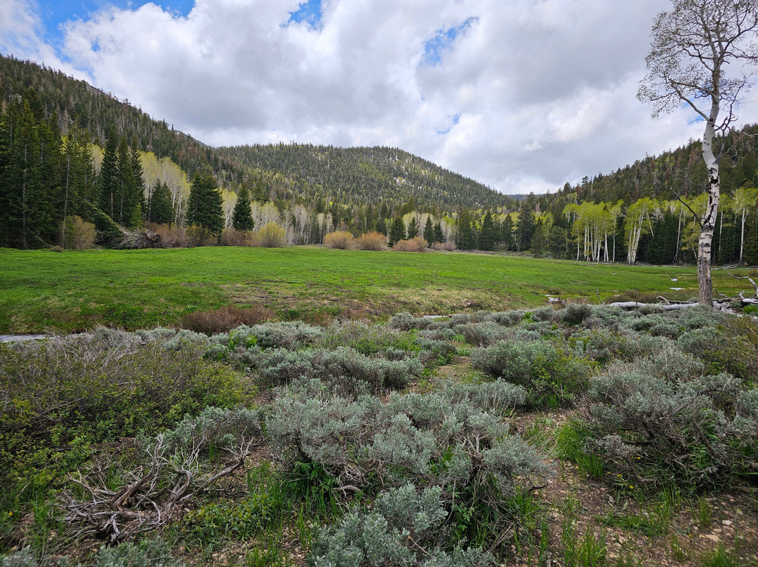 Baker Creek Loop Trail-Baker必去景点