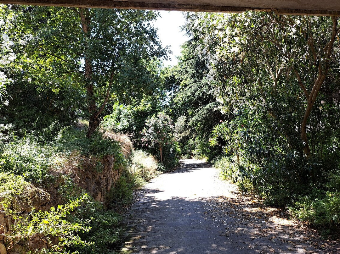 Gravina Delle Murge景点图片