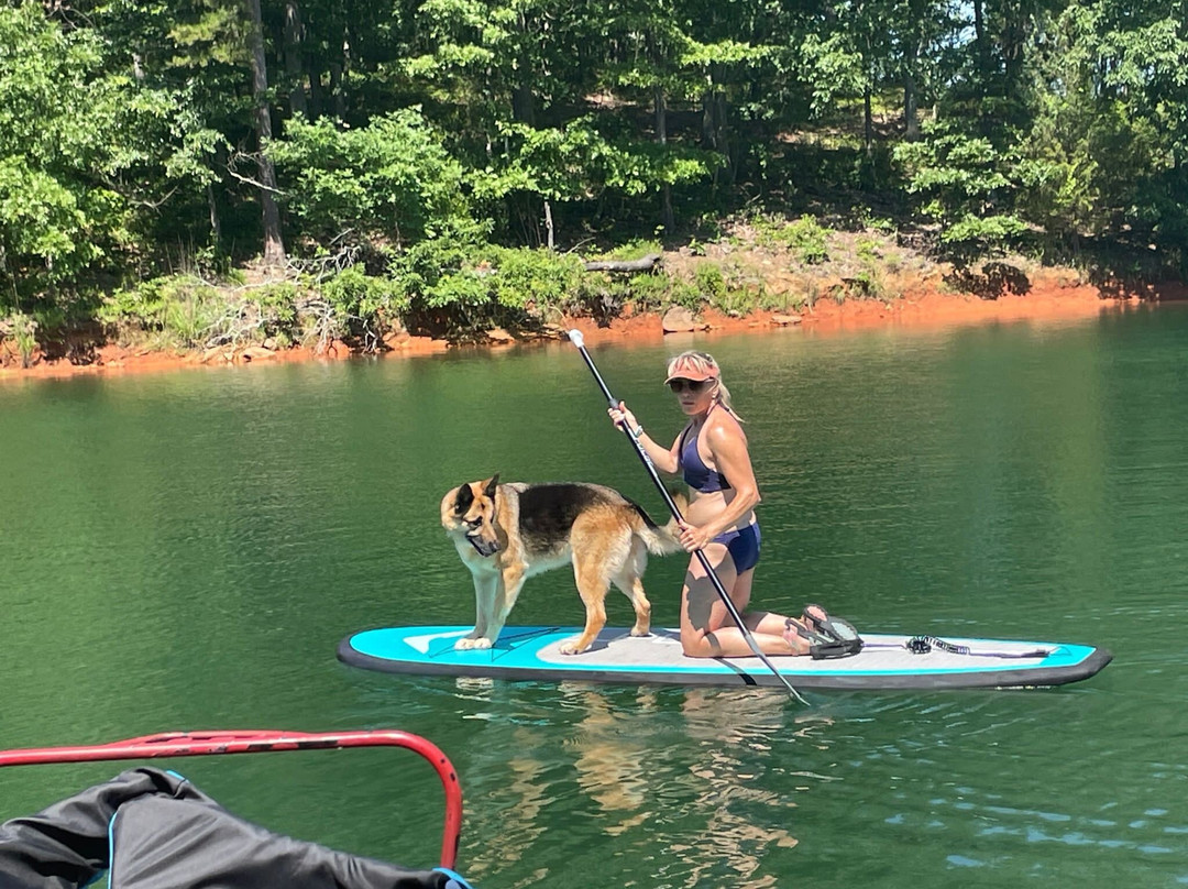 Lake Hartwell Kayak Rental and Delivery-Hartwell必去景点