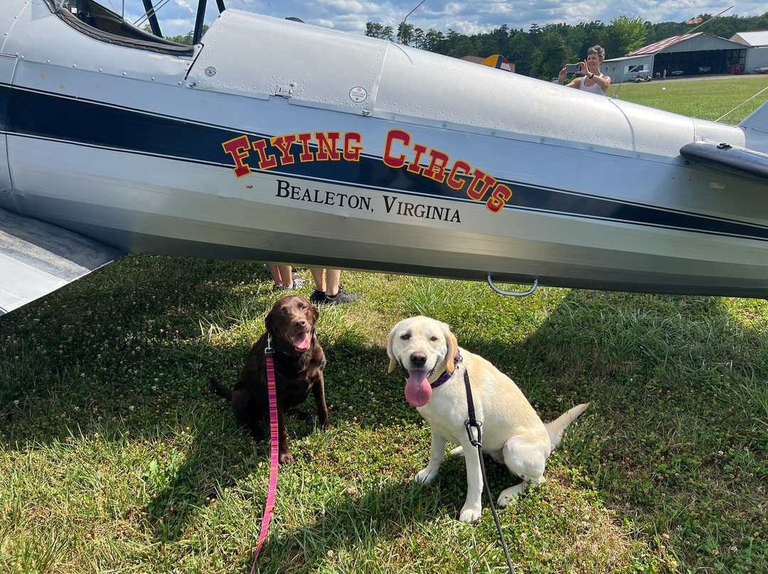 Flying Circus-Bealeton必去景点