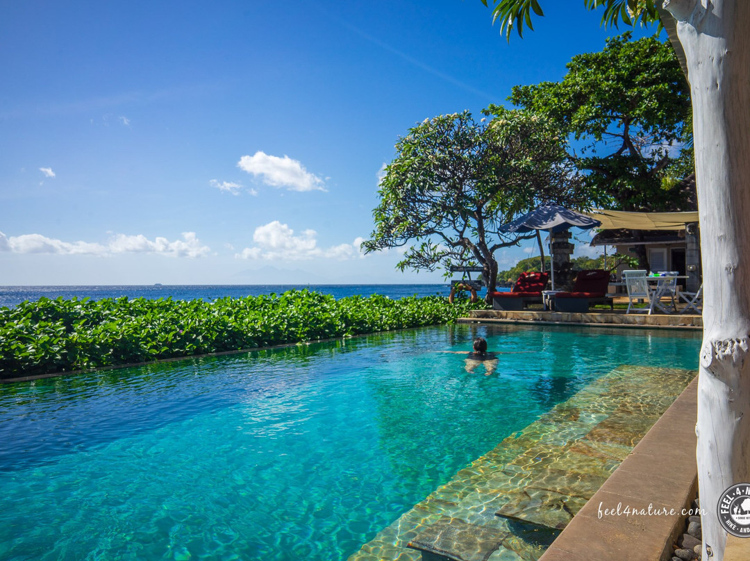 托奇码头图兰度假村&Spa主图