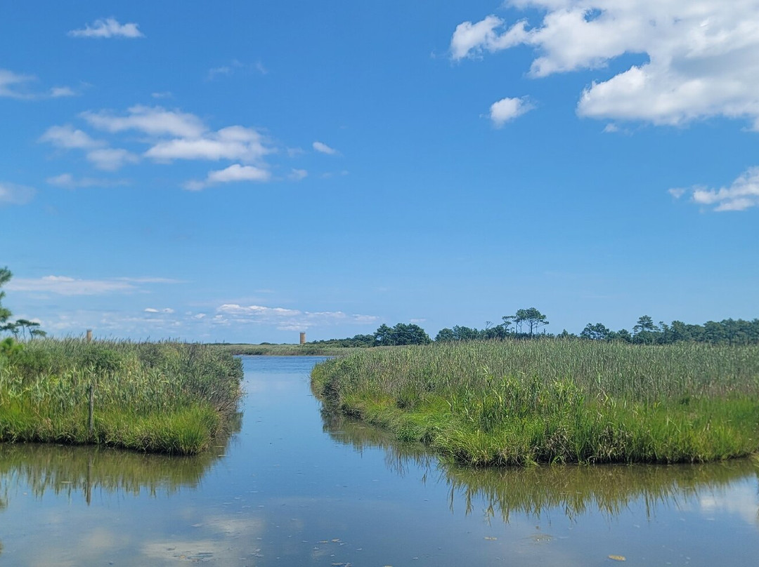 Gordons Pond-里霍博斯比奇必去景点