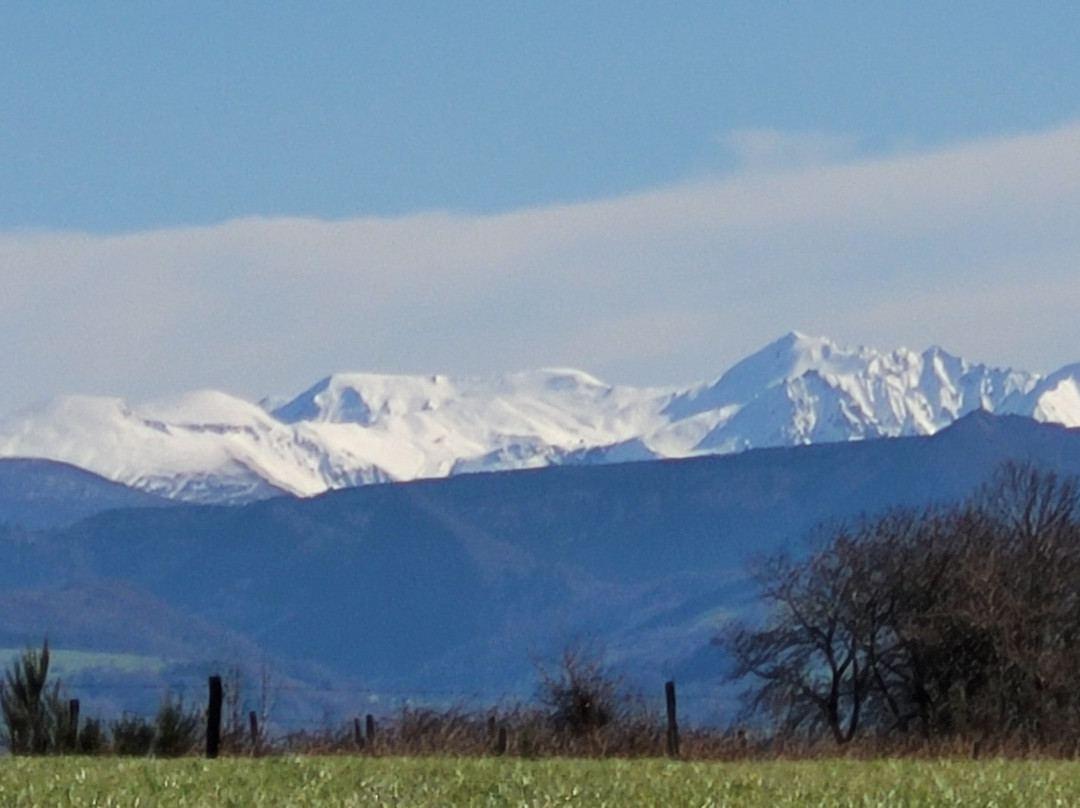 La Bromontoise主图