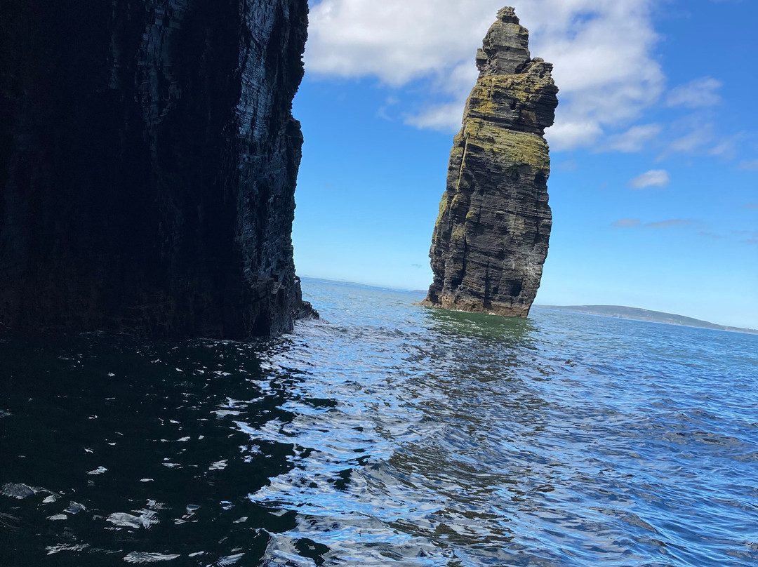 West Coast RIB Adventures-Kilrush必去景点