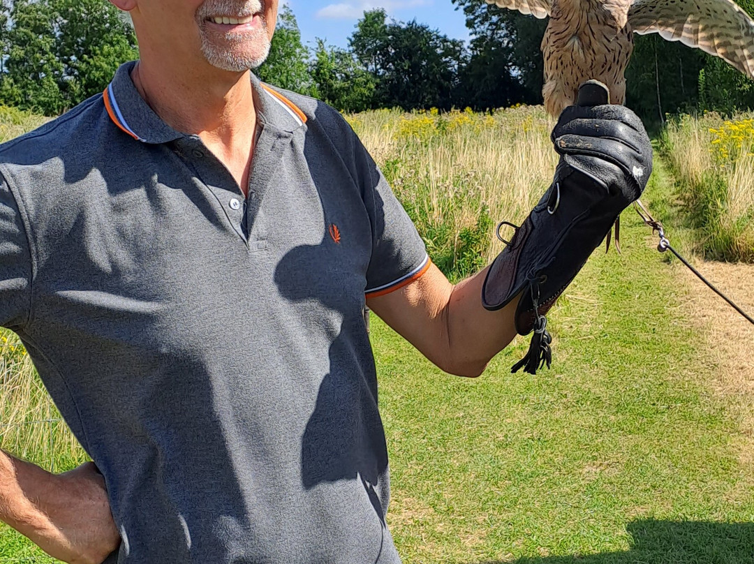 Fens Falconry景点图片