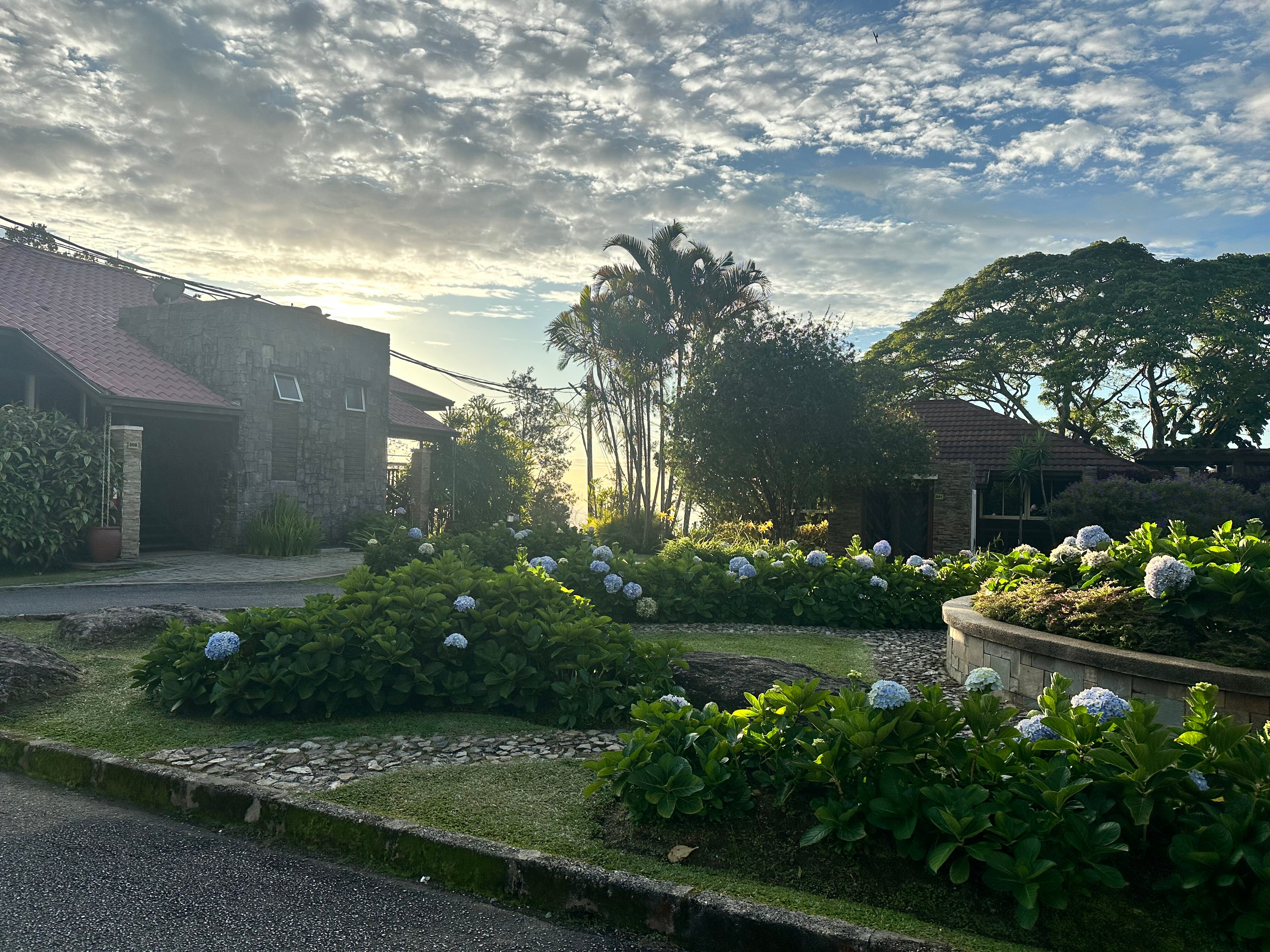 The Regency Jerai Hill Resort-酒店景观