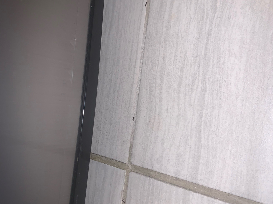 Home2 Suites by Hilton Minneapolis Bloomington主图