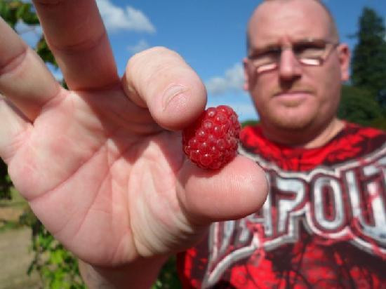 Childers' Raspberry Farm-奥尔巴尼必去景点