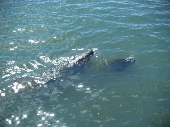 Eco Journeys  Tour-Salinas必去景点