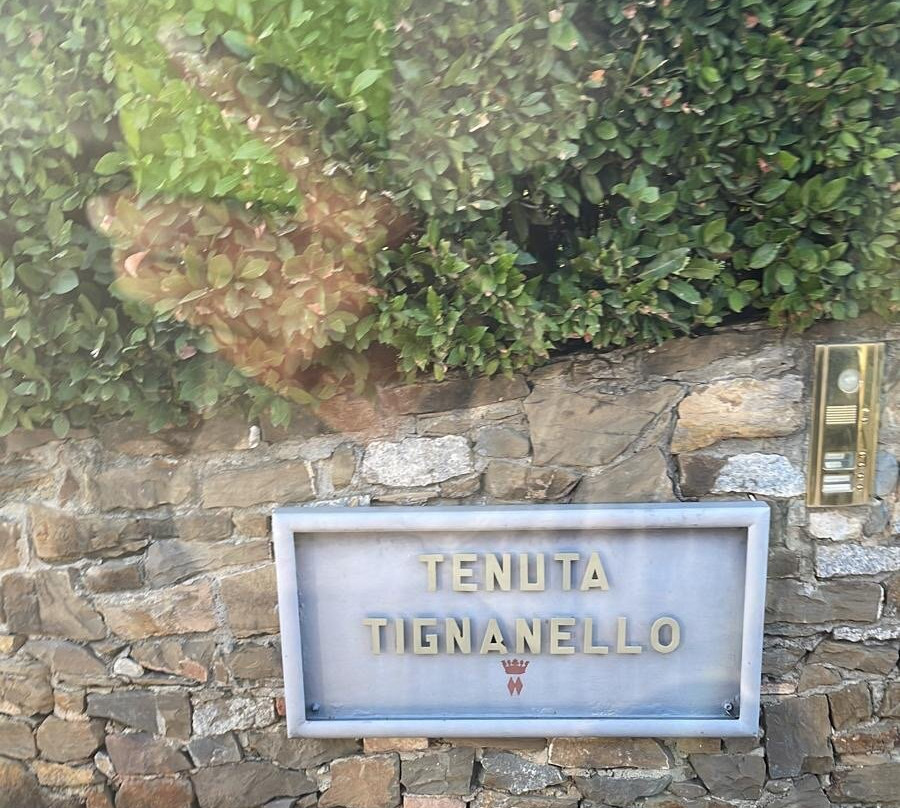 Agriturismo Fonte de' Medici主图