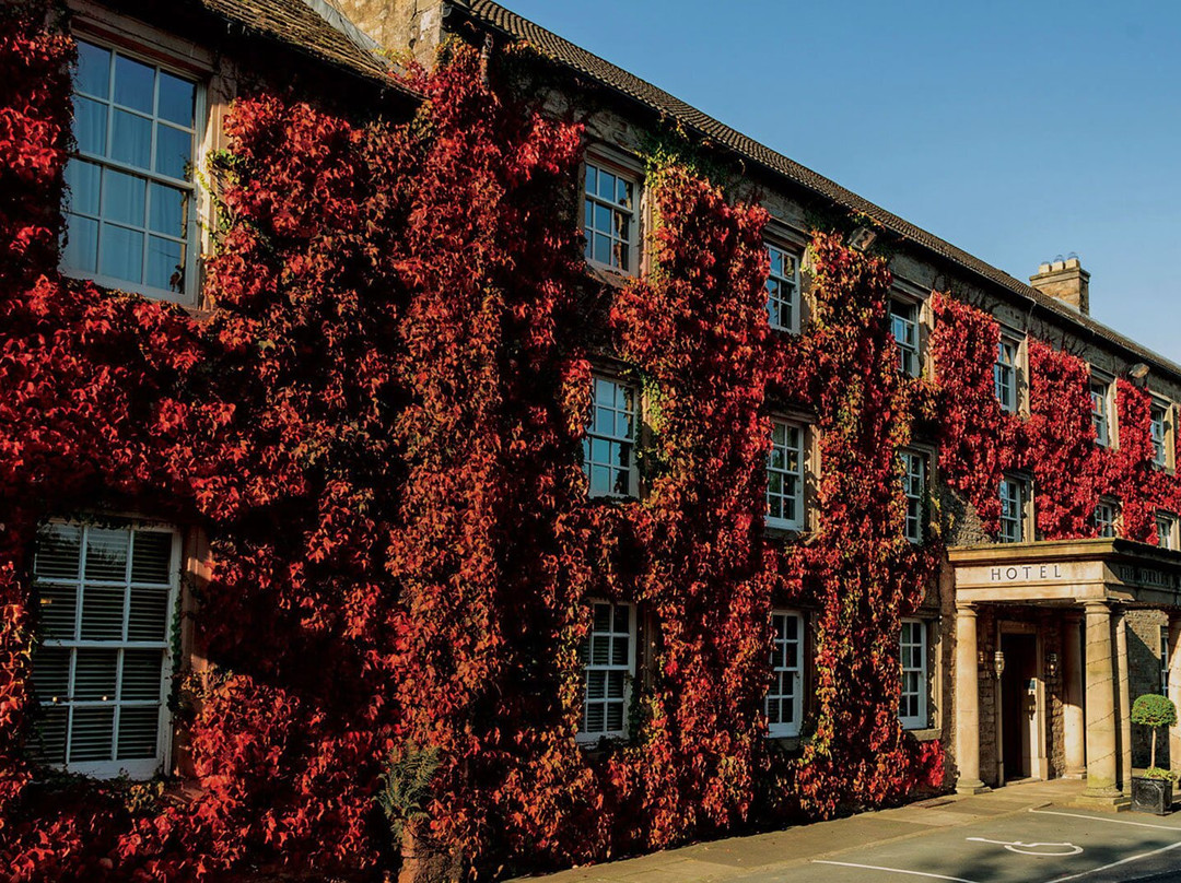 达勒姆郡酒店住宿-The Morritt Country House Hotel