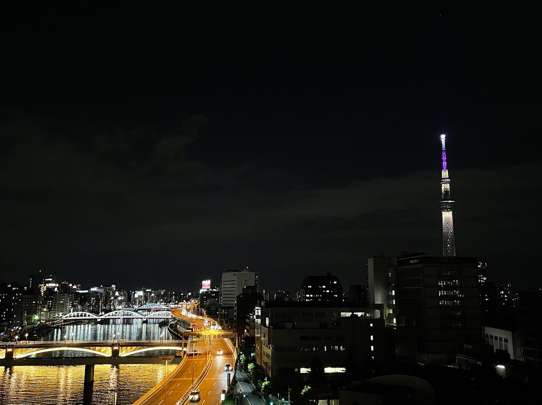 THE GATE HOTEL RYOGOKU by HULIC主图