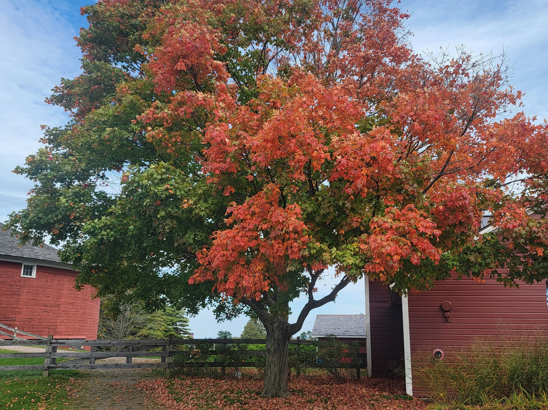 Vermontology Guided Tours-伍德斯托克必去景点