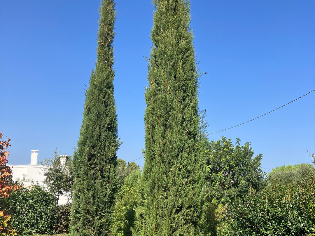 Borgo Cozzana主图