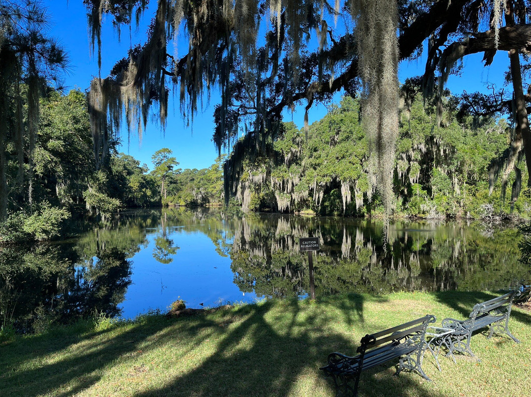 Charles Towne Landing State Historic Site-查尔斯顿必去景点