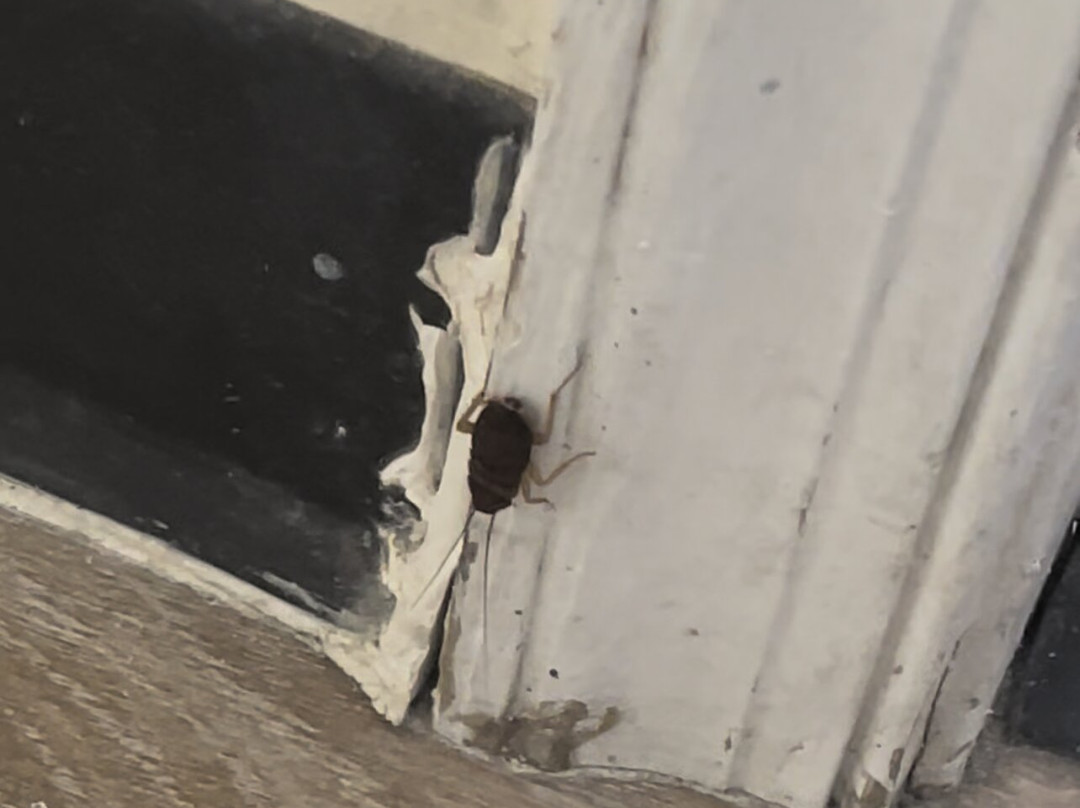 Suburban Extended Stay Of Wilmington主图