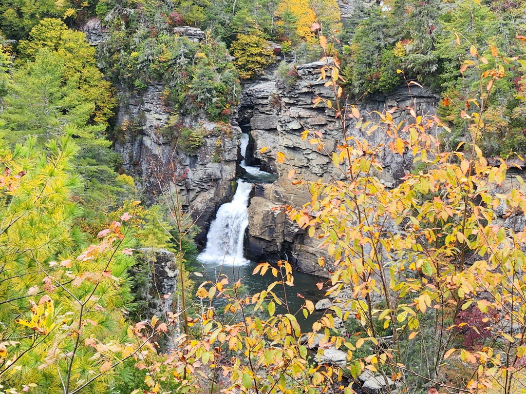 Gable Haus Cottages主图