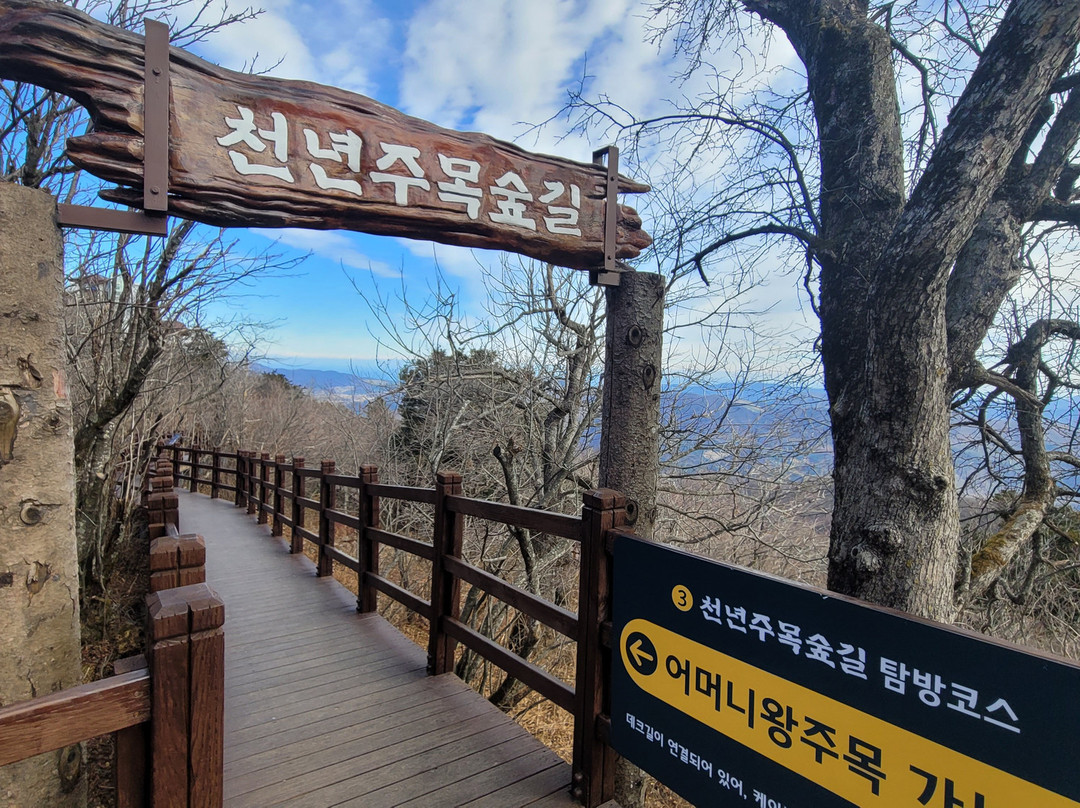 Balwangsan Mountain景点图片